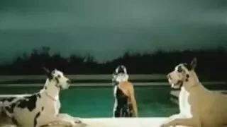 المشتري المثير مارس الجنس إذا افلام سكسيه صوت وصوره كان سمسار عقارات في كس