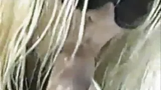 الرجل كسر اريد افلام سكسيه عربيه طالبة بوف الجنس
